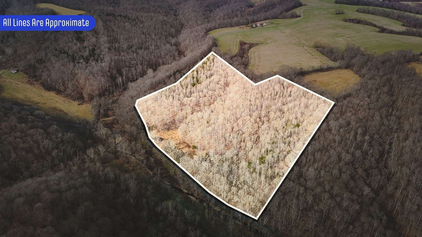 26.9 Acres of Recreational Land & Farm for Sale in Westmoreland, Tennessee