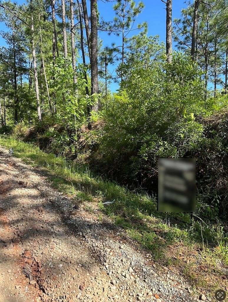 12.5 Acres of Recreational Land for Sale in Bainbridge, Georgia