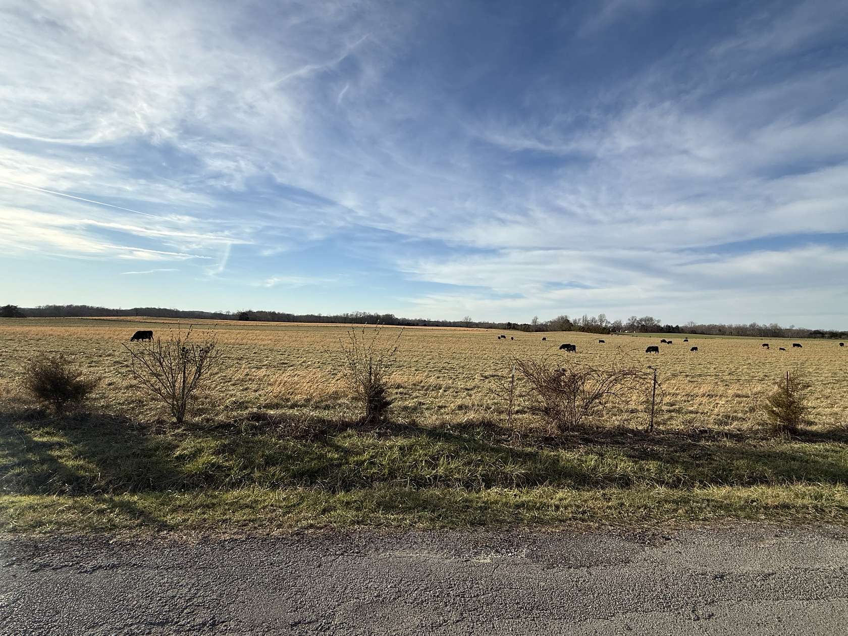 155 Acres of Land for Sale in Cookeville, Tennessee
