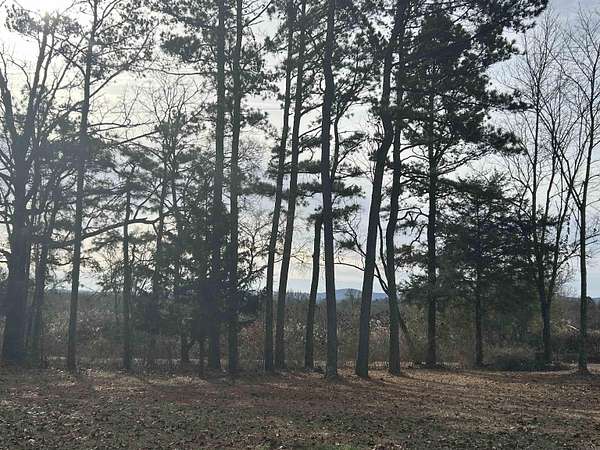 3 Acres of Residential Land for Sale in Cove, Arkansas