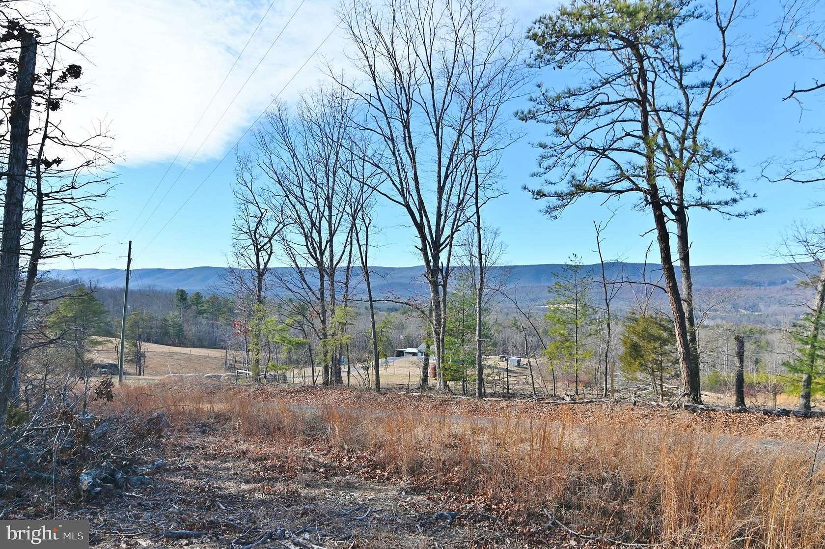 6.15 Acres of Residential Land for Sale in Edinburg, Virginia