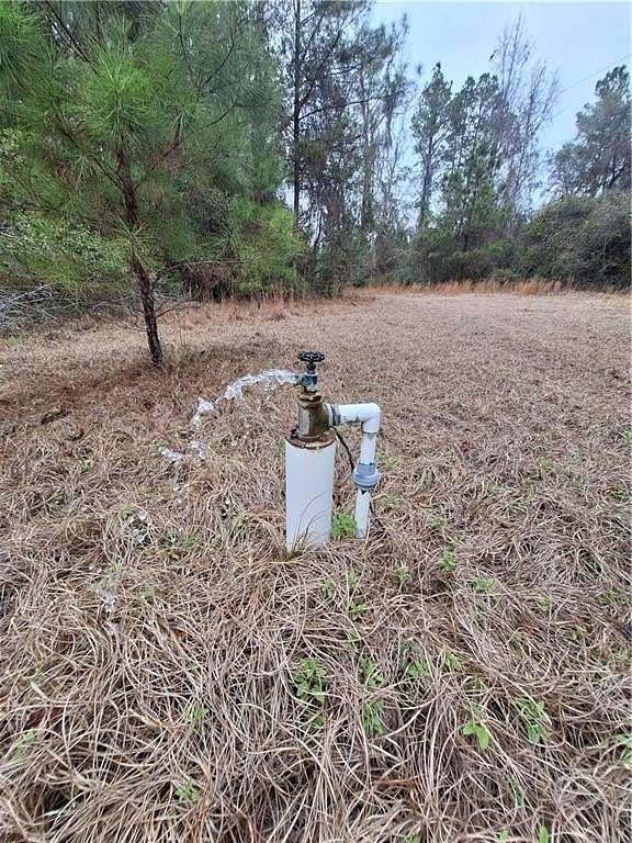 29.1 Acres of Recreational Land for Sale in Waynesville, Georgia