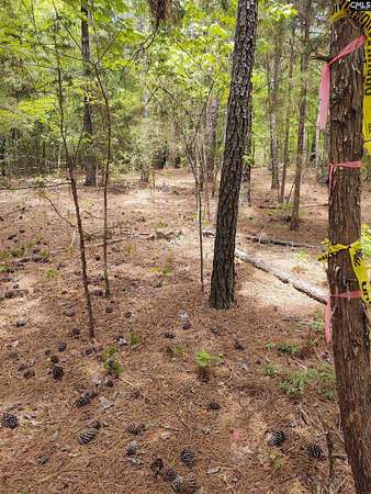 1 Acre of Residential Land for Sale in Irmo, South Carolina