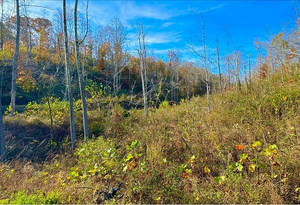 52 Acres of Recreational Land for Sale in Liberty, Kentucky