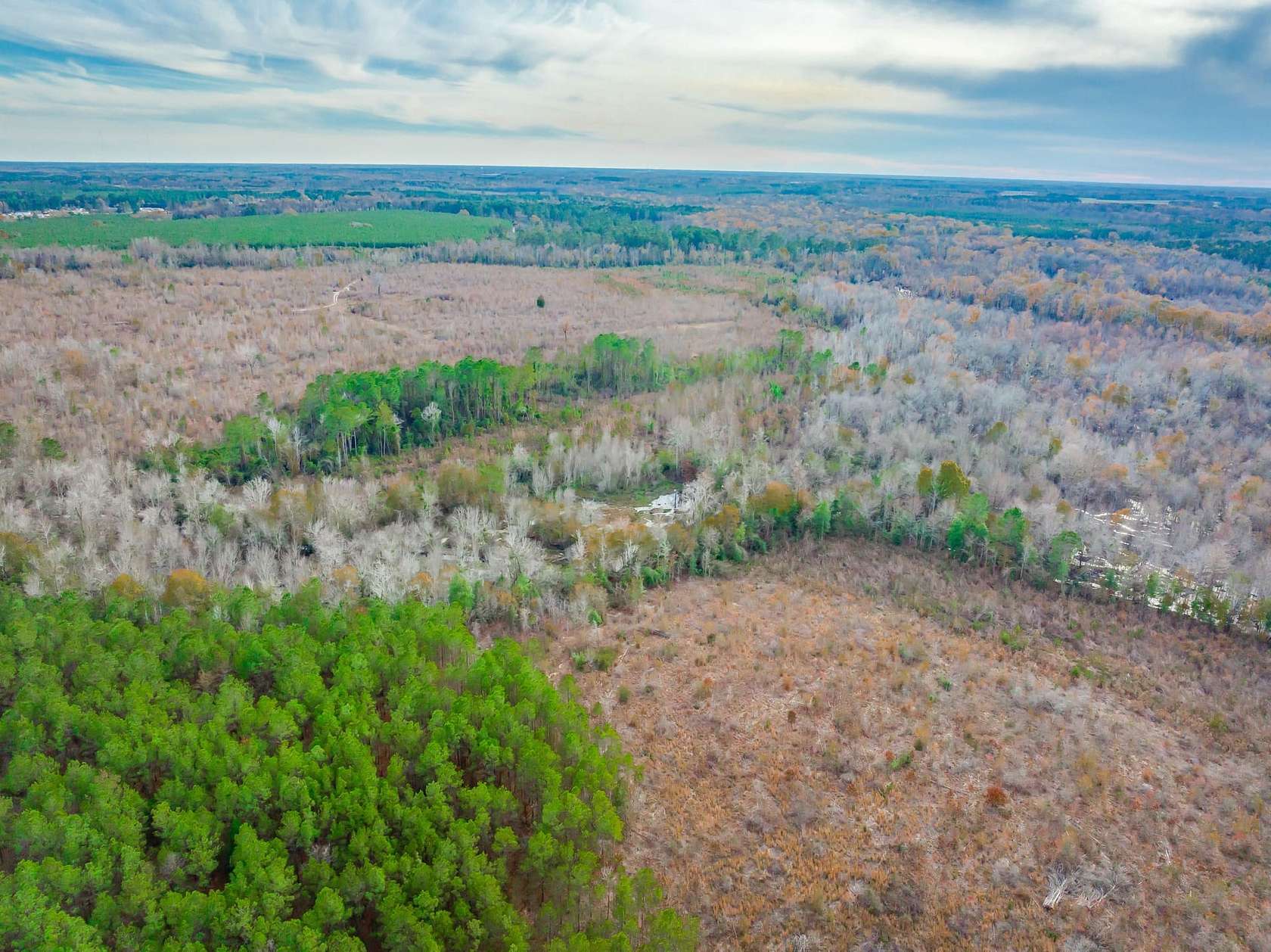 569 Acres of Recreational Land & Farm for Sale in Little Rock, South Carolina