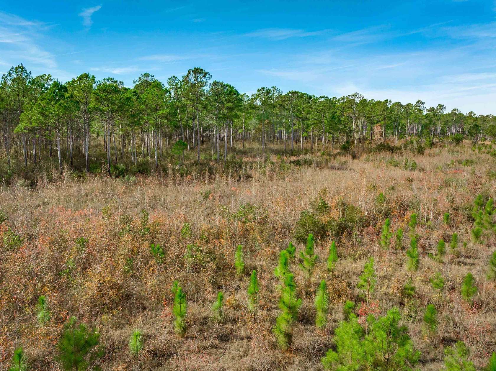 1,452 Acres of Recreational & Residential Land for Sale in Dillon, South Carolina