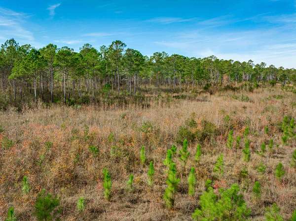 1,452 Acres of Recreational & Residential Land for Sale in Dillon, South Carolina