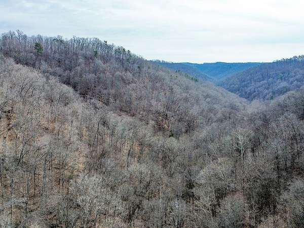 75 Acres of Recreational Land for Sale in Speedwell, Tennessee