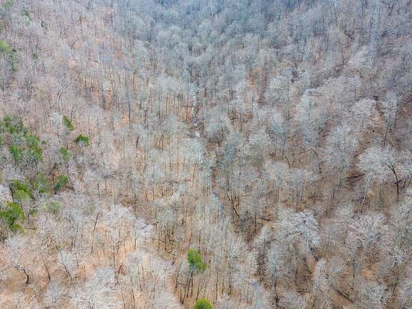 37.5 Acres of Recreational Land for Sale in Speedwell, Tennessee