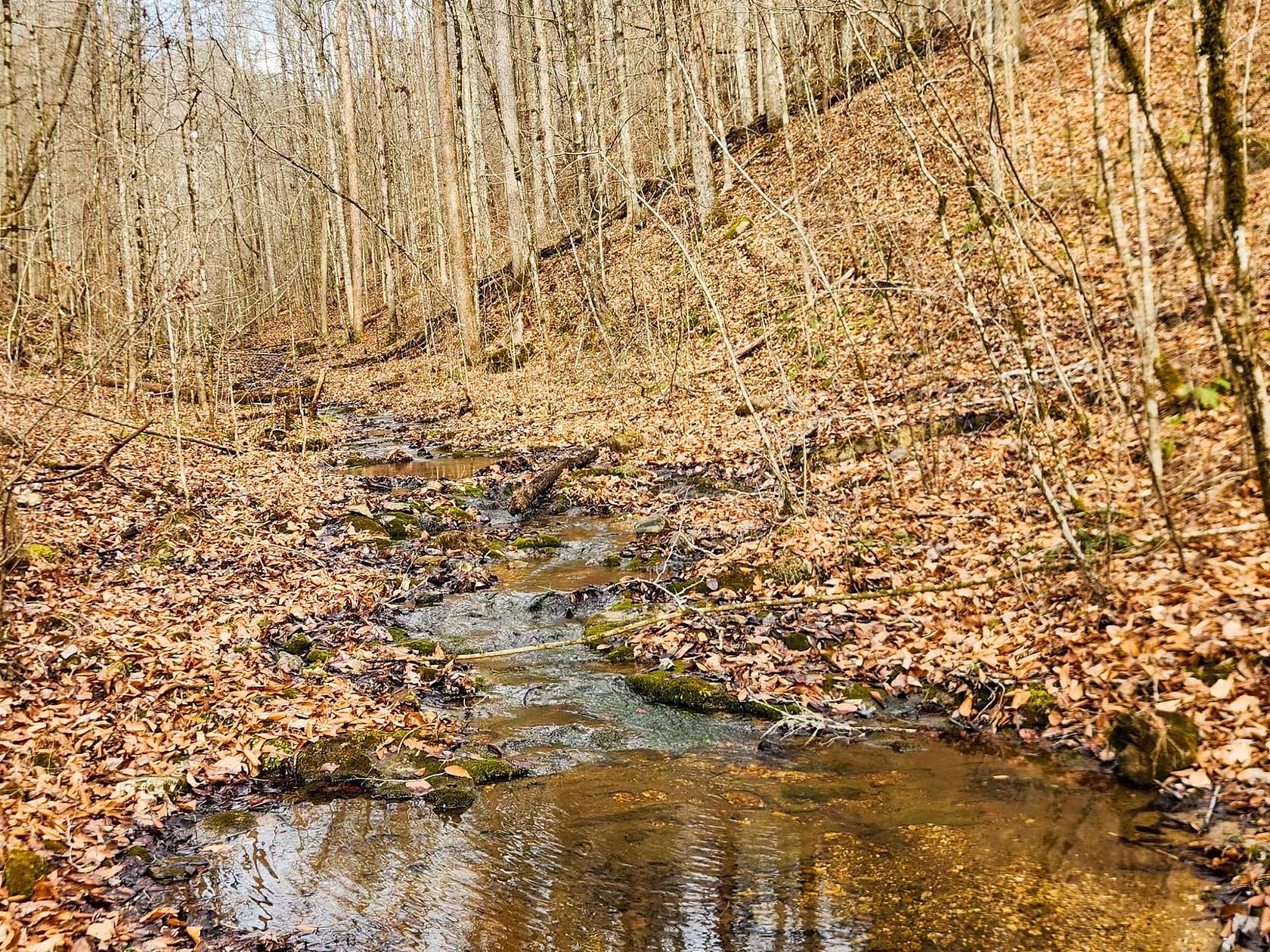 37.5 Acres of Recreational Land for Sale in Speedwell, Tennessee