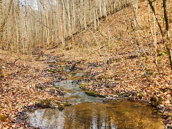 37.5 Acres of Recreational Land for Sale in Speedwell, Tennessee