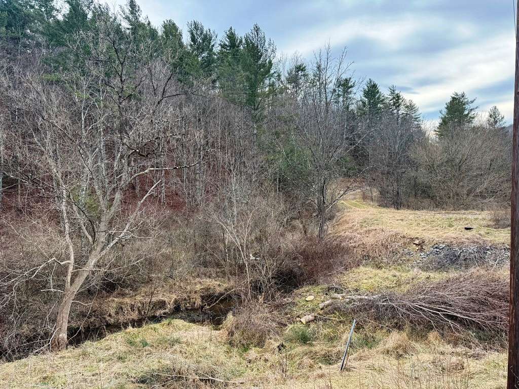 41.7 Acres of Land for Sale in Bland, Virginia