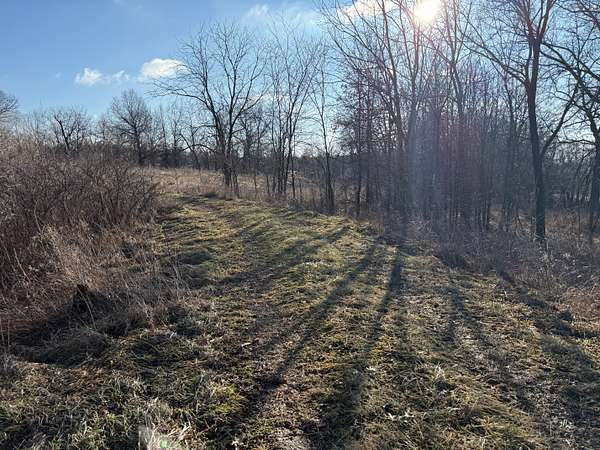 87 Acres of Recreational Land & Farm for Sale in Rutledge, Missouri