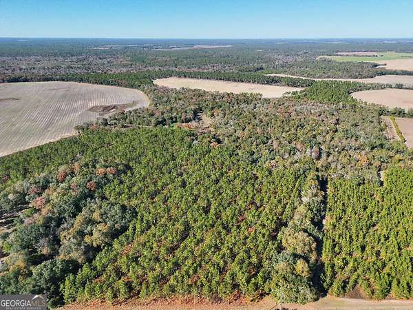 26.2 Acres of Recreational Land & Farm for Sale in Camilla, Georgia