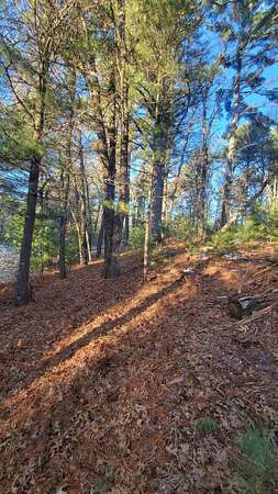 1 Acre of Residential Land for Sale in Arkdale, Wisconsin