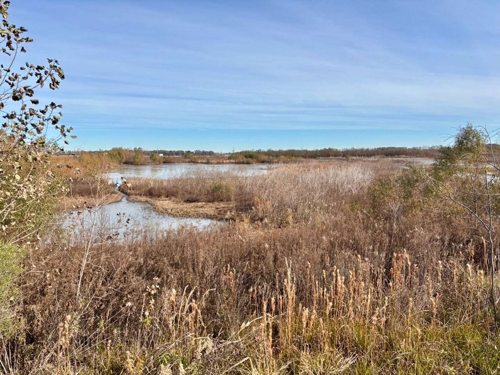 189 Acres of Recreational Land for Sale in Greenville, Mississippi