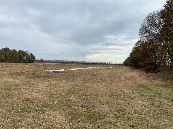 141 Acres of Recreational Land & Farm for Sale in Jones, Louisiana