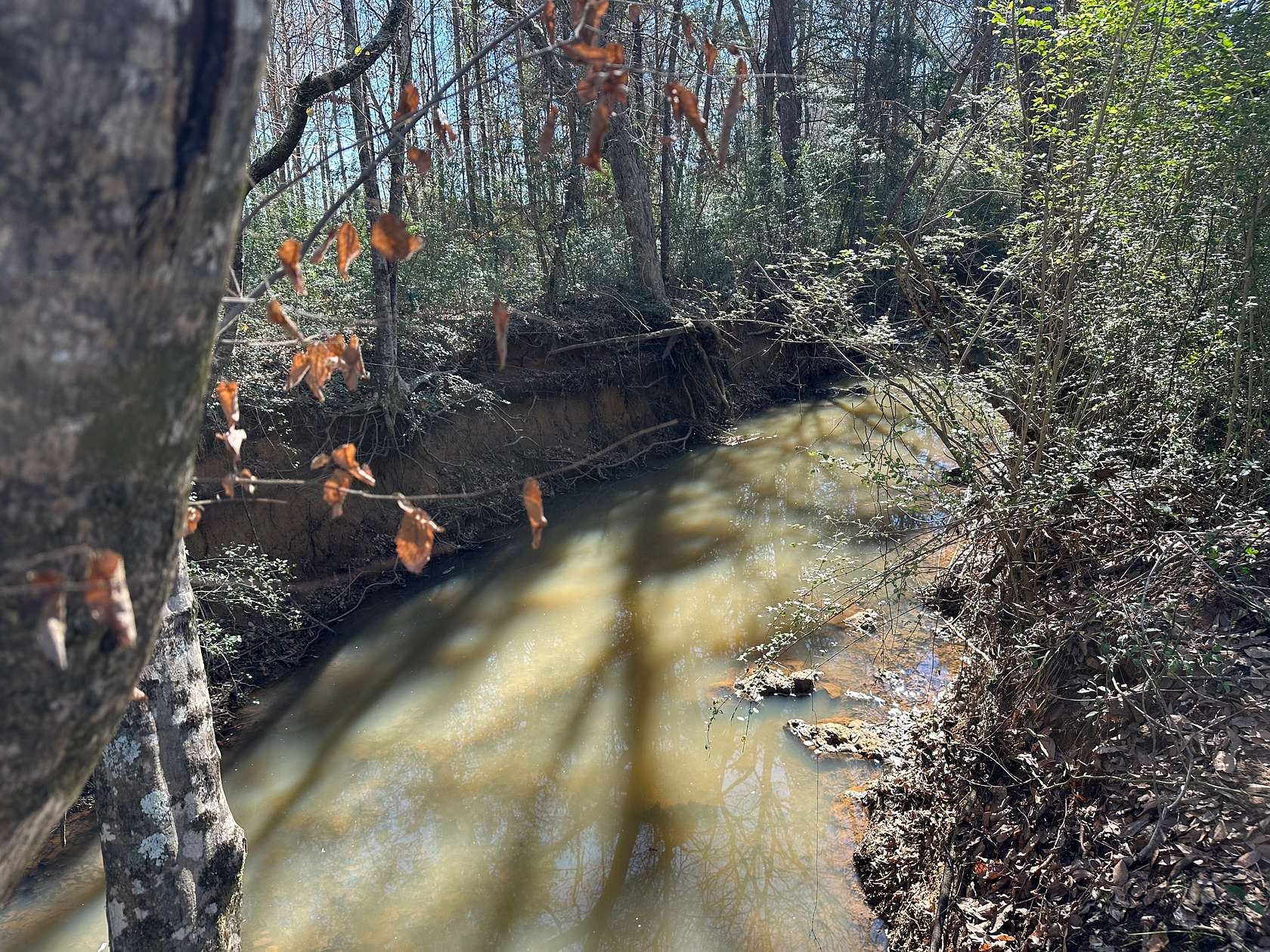 45.8 Acres of Land for Sale in Alto, Texas