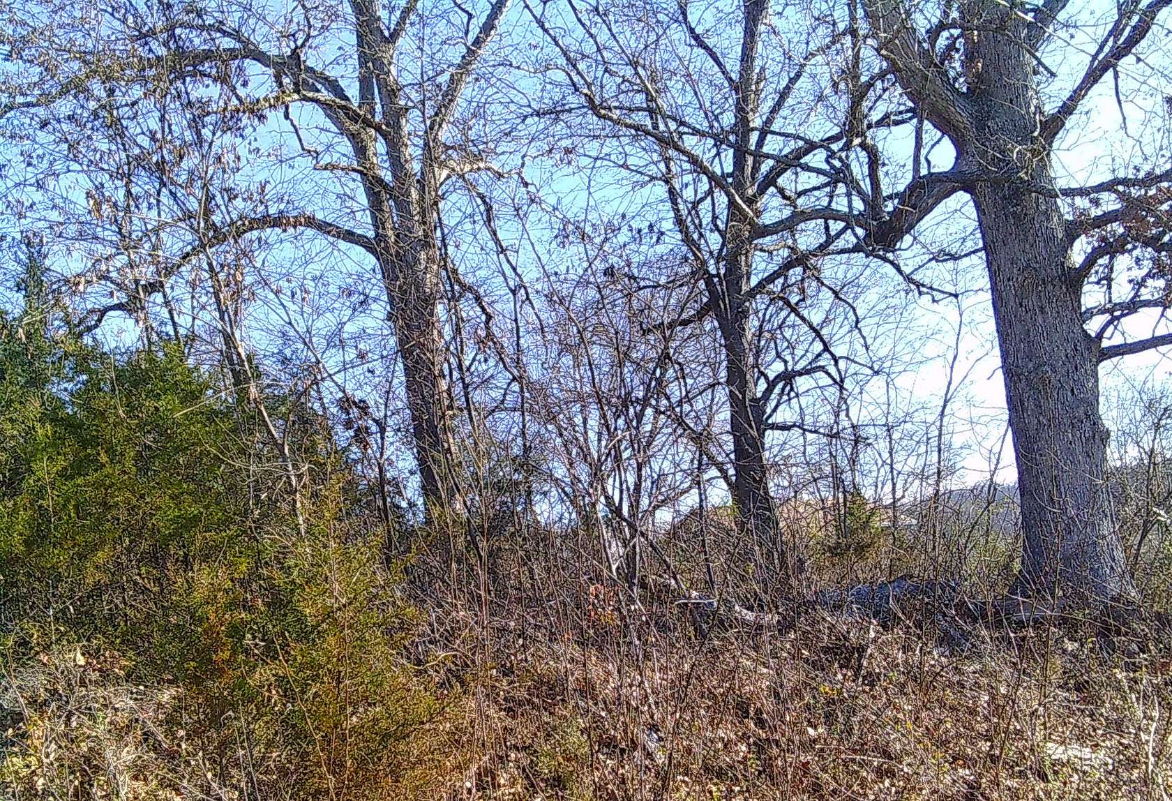 0.15 Acres of Residential Land for Sale in Hardy, Arkansas