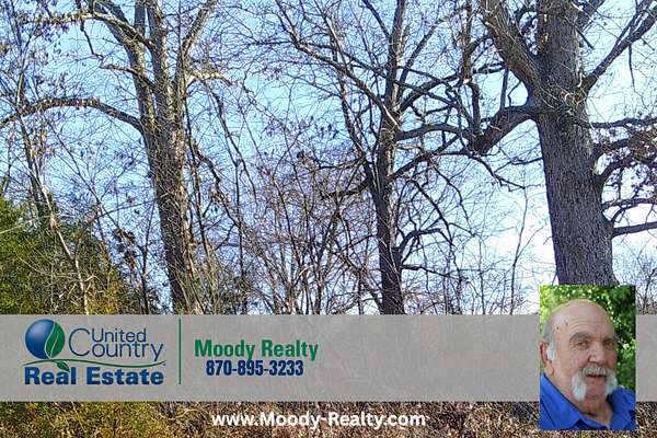 0.15 Acres of Residential Land for Sale in Hardy, Arkansas