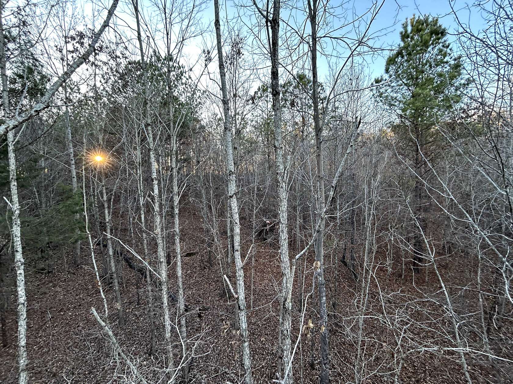 93 Acres of Recreational Land & Farm for Sale in Jacksonville, Alabama