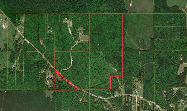 93 Acres of Recreational Land & Farm for Sale in Jacksonville, Alabama