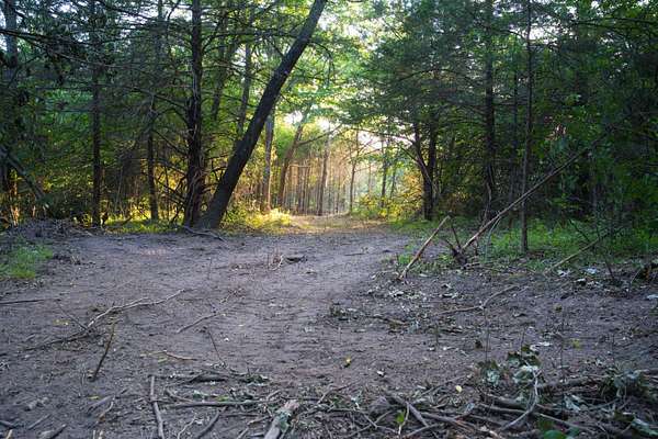 19.6 Acres of Land for Sale in Pleasant Hope, Missouri