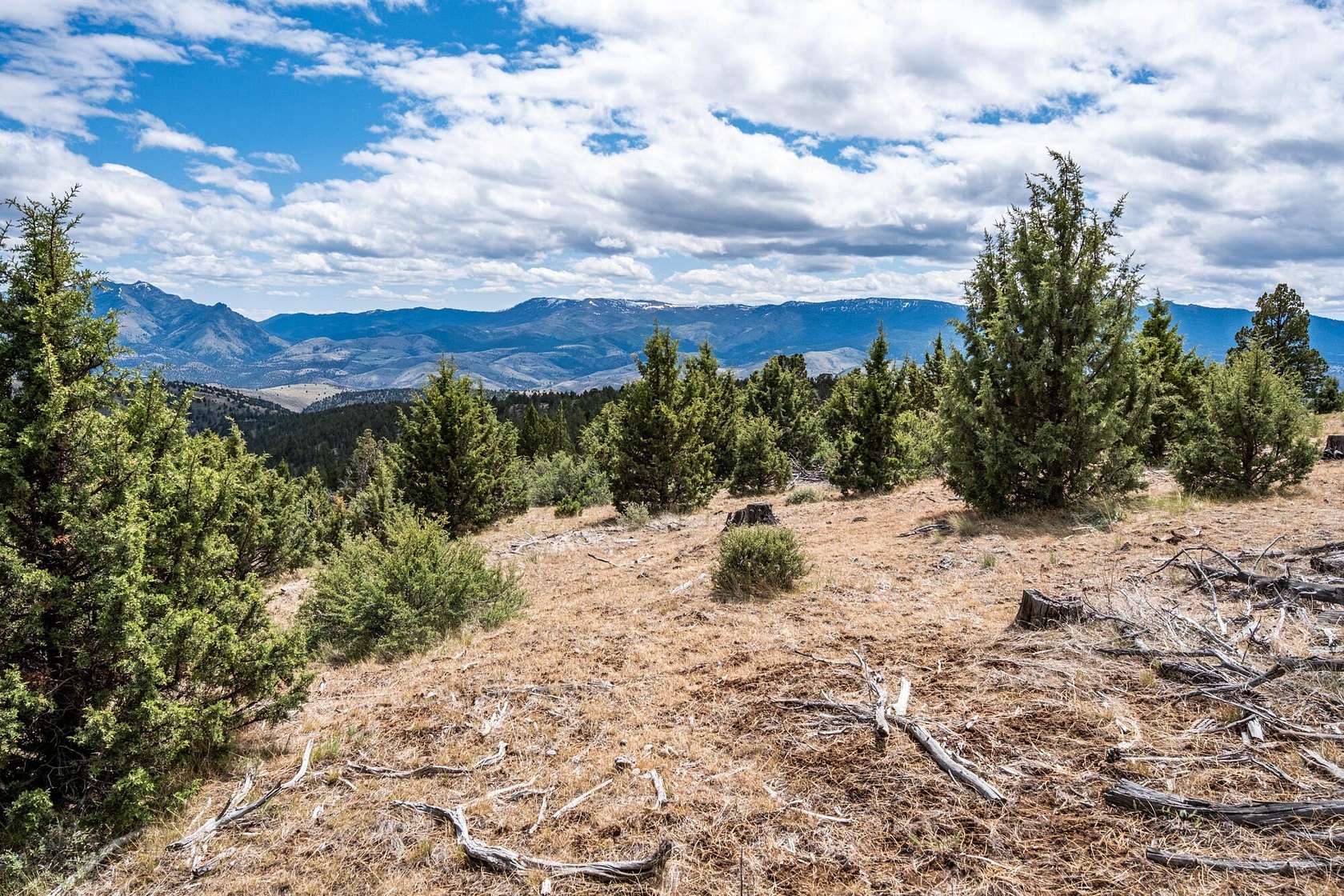 644 Acres of Land for Sale in Mount Vernon, Oregon