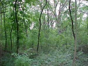 1 Acre of Residential Land for Sale in St Charles, Illinois