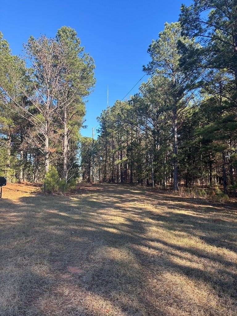 25 Acres of Recreational Land for Sale in Talbotton, Georgia