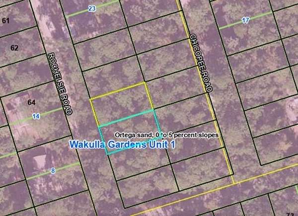 0.11 Acres of Land for Sale in Crawfordville, Florida