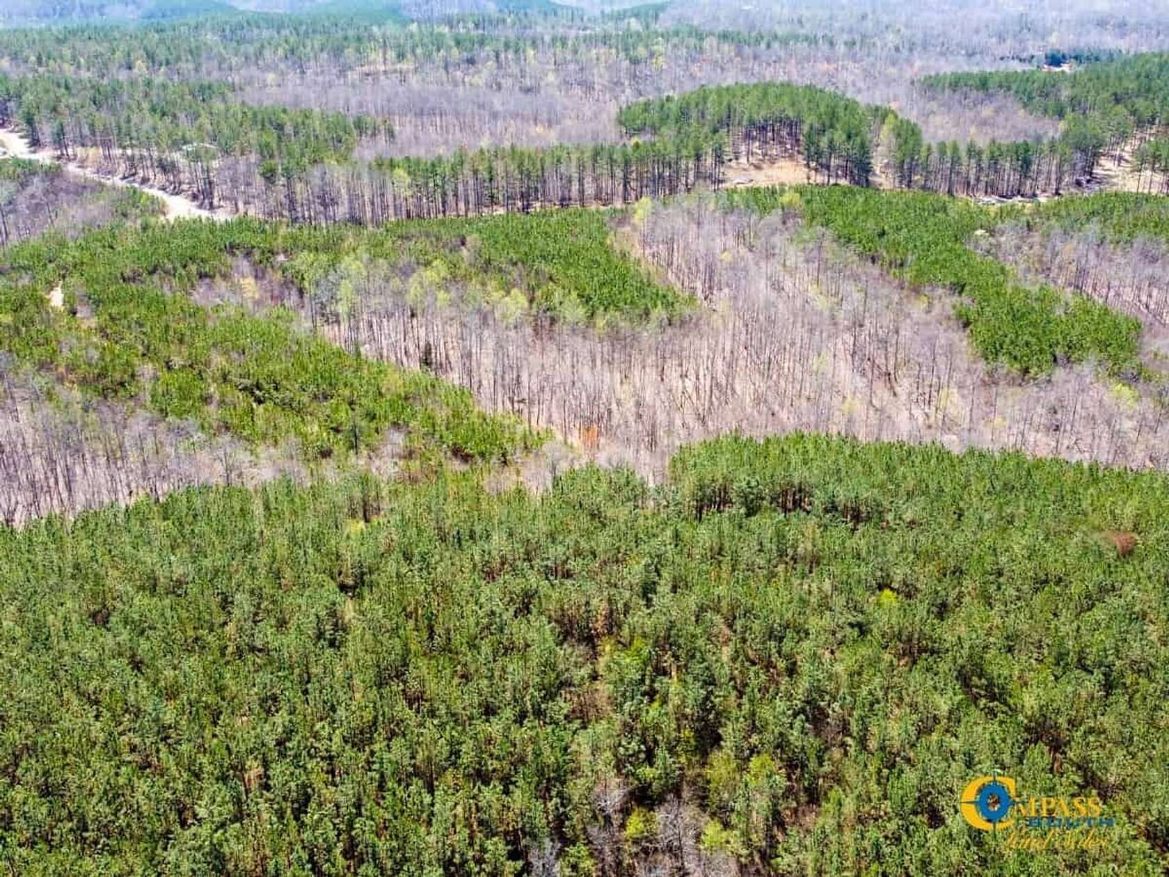 253 Acres of Recreational Land for Sale in Hohenwald, Tennessee