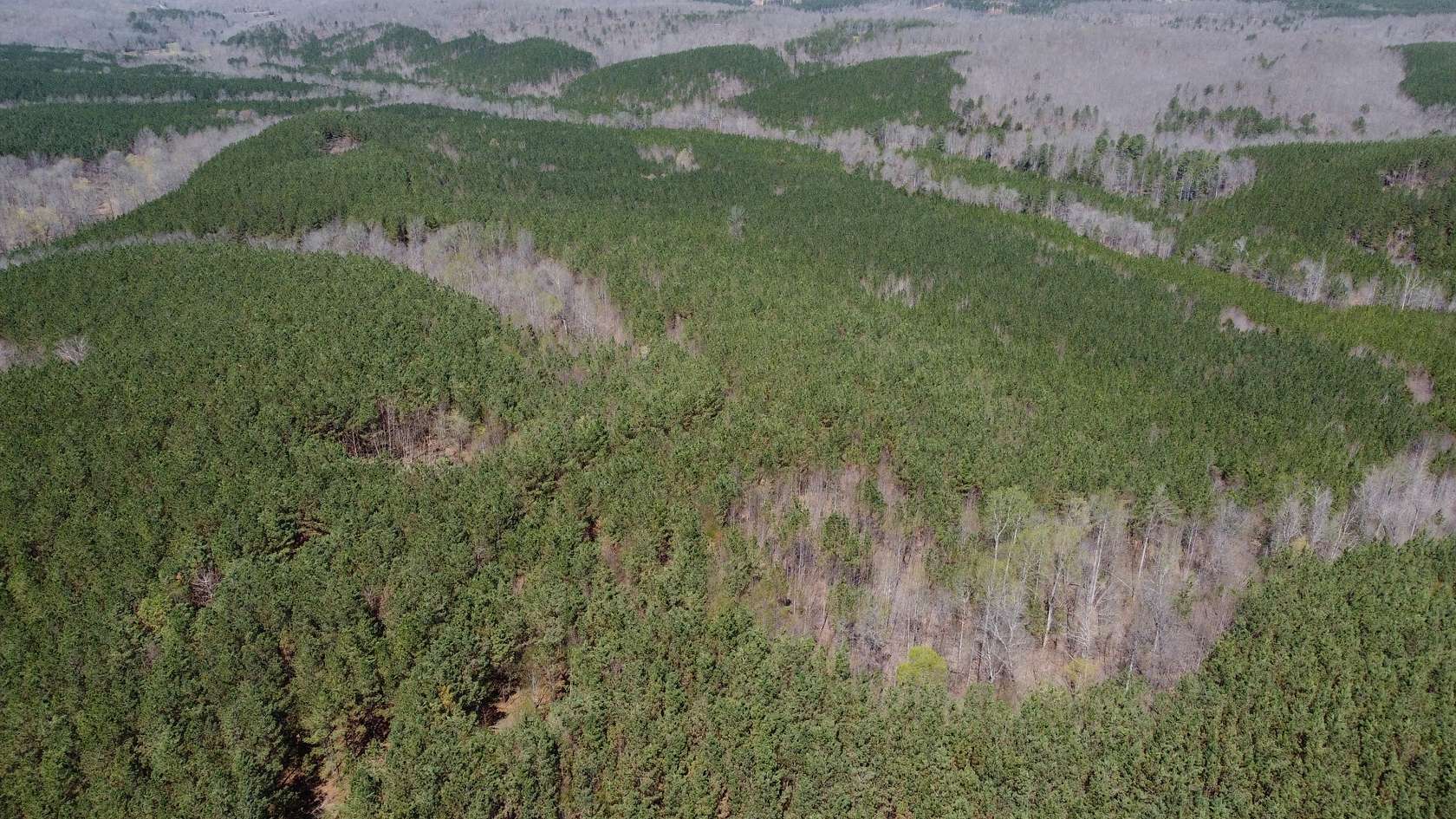 253 Acres of Recreational Land for Sale in Linden, Tennessee