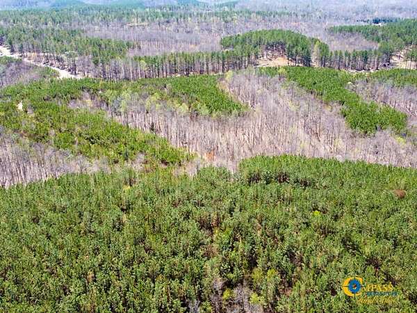 253 Acres of Recreational Land for Sale in Hohenwald, Tennessee