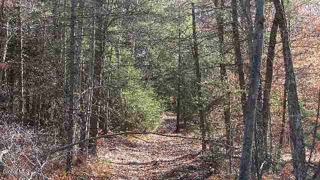 8.67 Acres of Land for Sale in Providence Town, New York