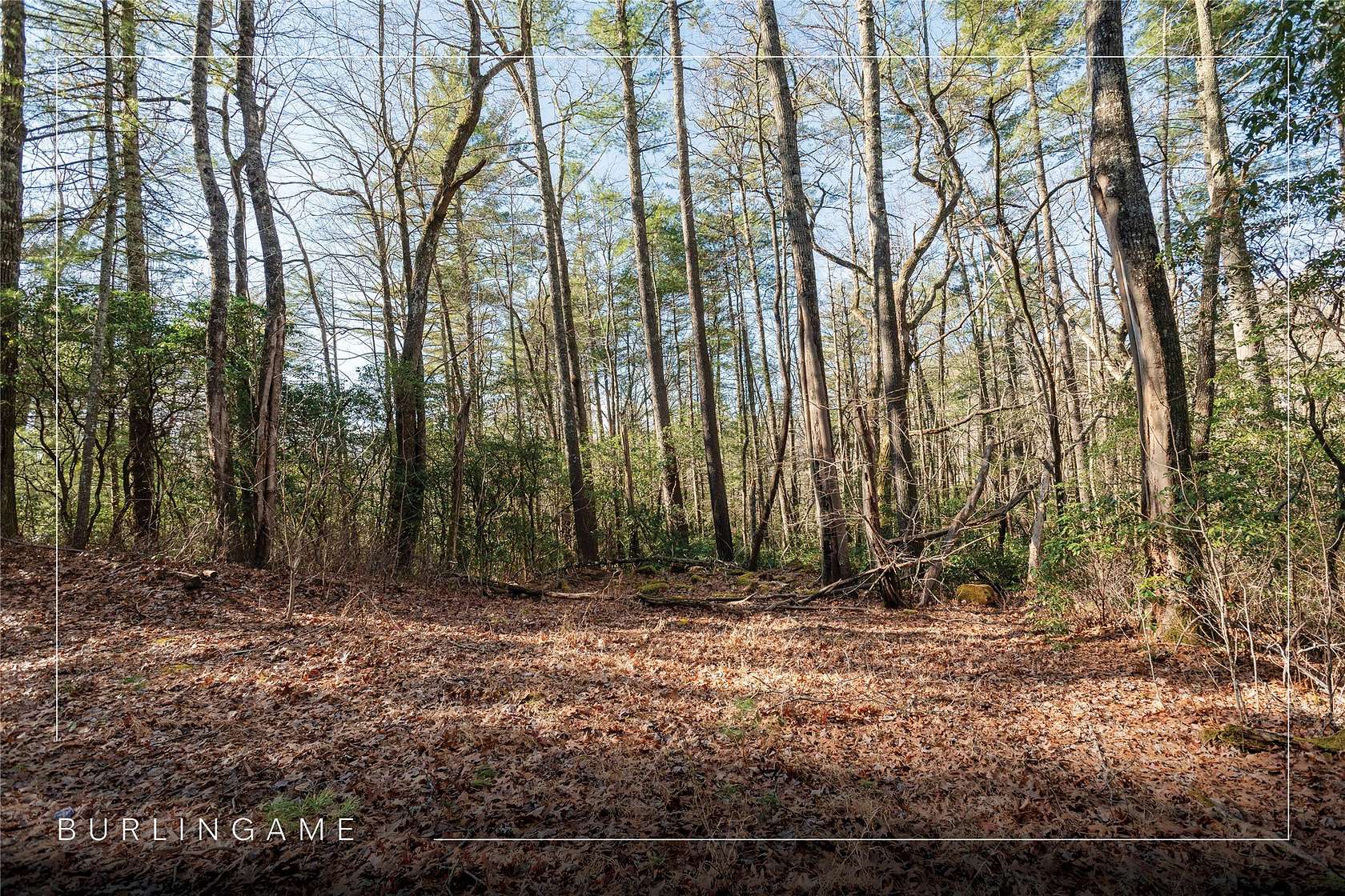 1 Acre of Land for Sale in Sapphire, North Carolina