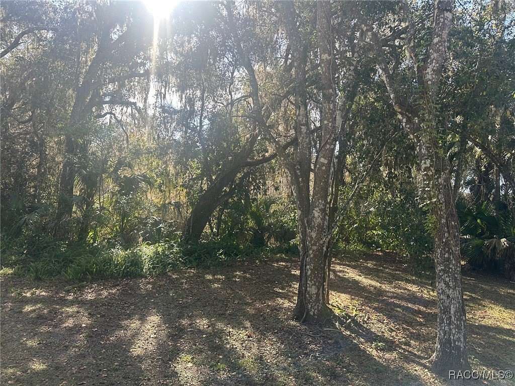 0.34 Acres of Residential Land for Sale in Hernando, Florida