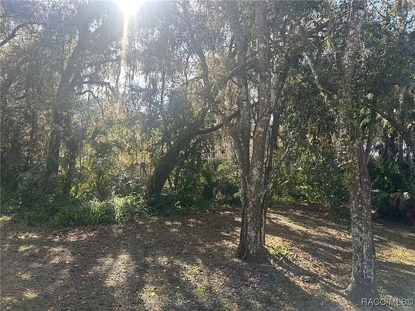 0.34 Acres of Residential Land for Sale in Hernando, Florida