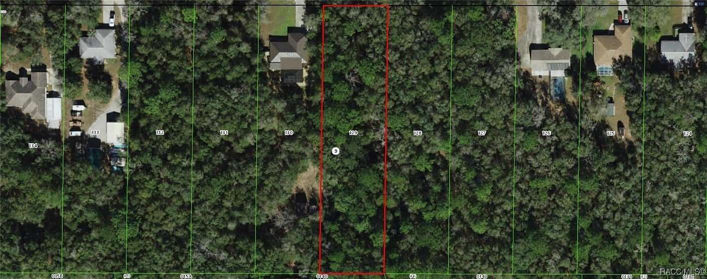 0.95 Acres of Land for Sale in Hernando, Florida