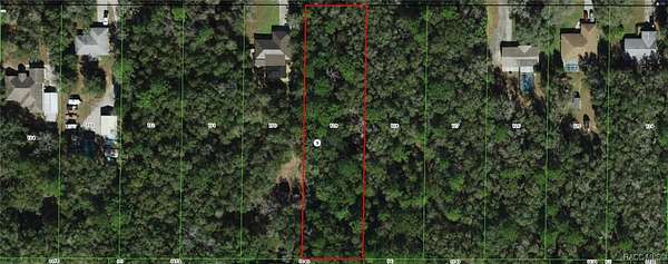 0.95 Acres of Land for Sale in Hernando, Florida