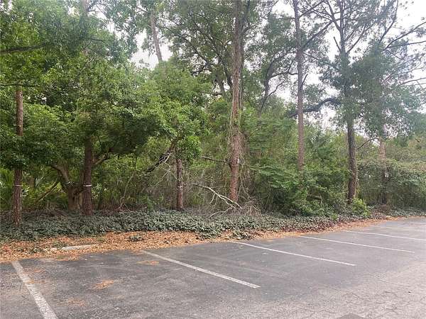 1 Acre of Residential Land for Sale in New Port Richey, Florida