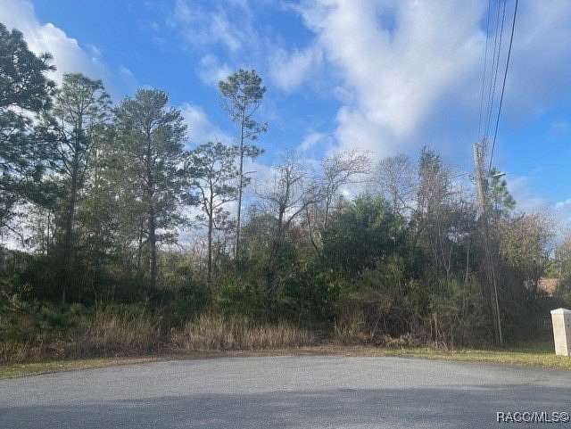 0.65 Acres of Residential Land for Sale in Weeki Wachee, Florida