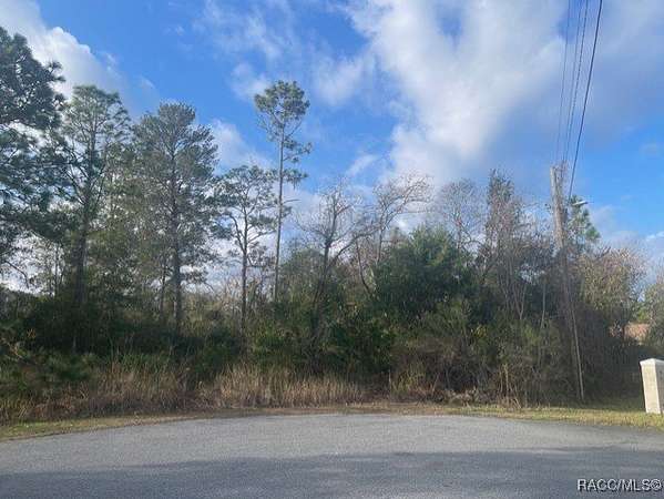 0.65 Acres of Residential Land for Sale in Weeki Wachee, Florida