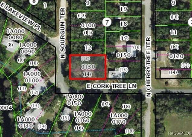 0.22 Acres of Residential Land for Sale in Hernando, Florida