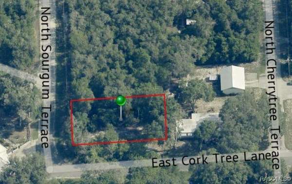 0.22 Acres of Residential Land for Sale in Hernando, Florida