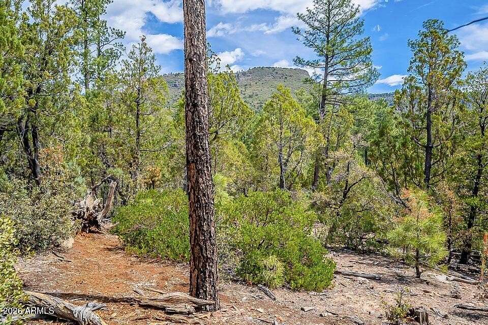 1.5 Acres of Residential Land for Sale in Pine, Arizona