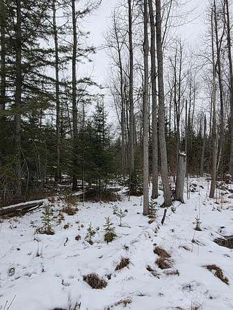 Land for Sale in Lincoln, Michigan