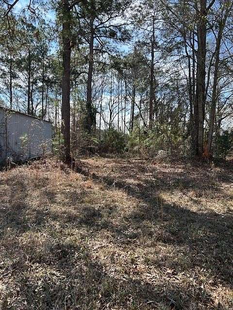 5.28 Acres of Land for Sale in Abbeville, Georgia
