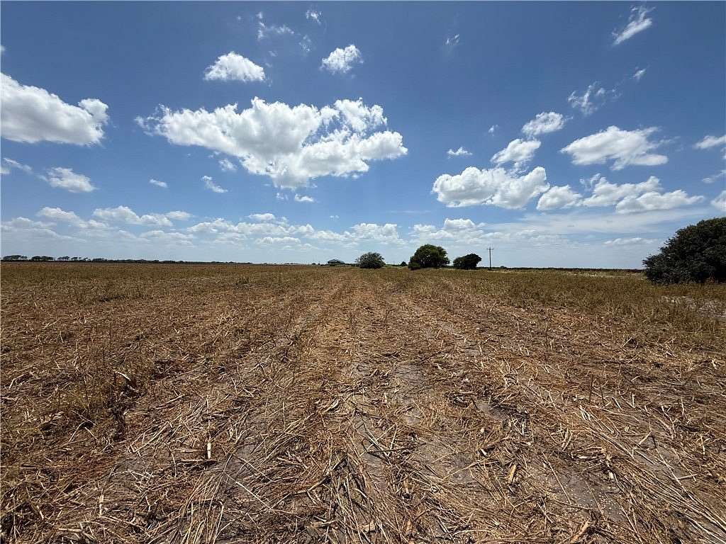 101 Acres of Agricultural Land for Sale in Mathis, Texas