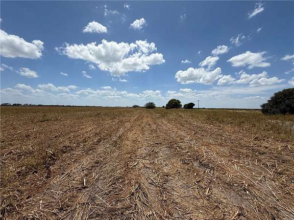 101 Acres of Agricultural Land for Sale in George West, Texas